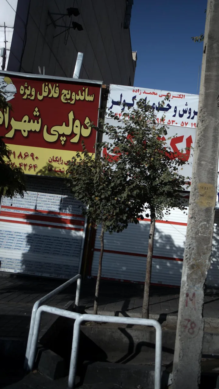 دولپی شهرام - تصویر 6