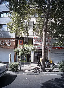 پیتزا برگرد زغالی ساندویچ مرغ سوخاری مدرن