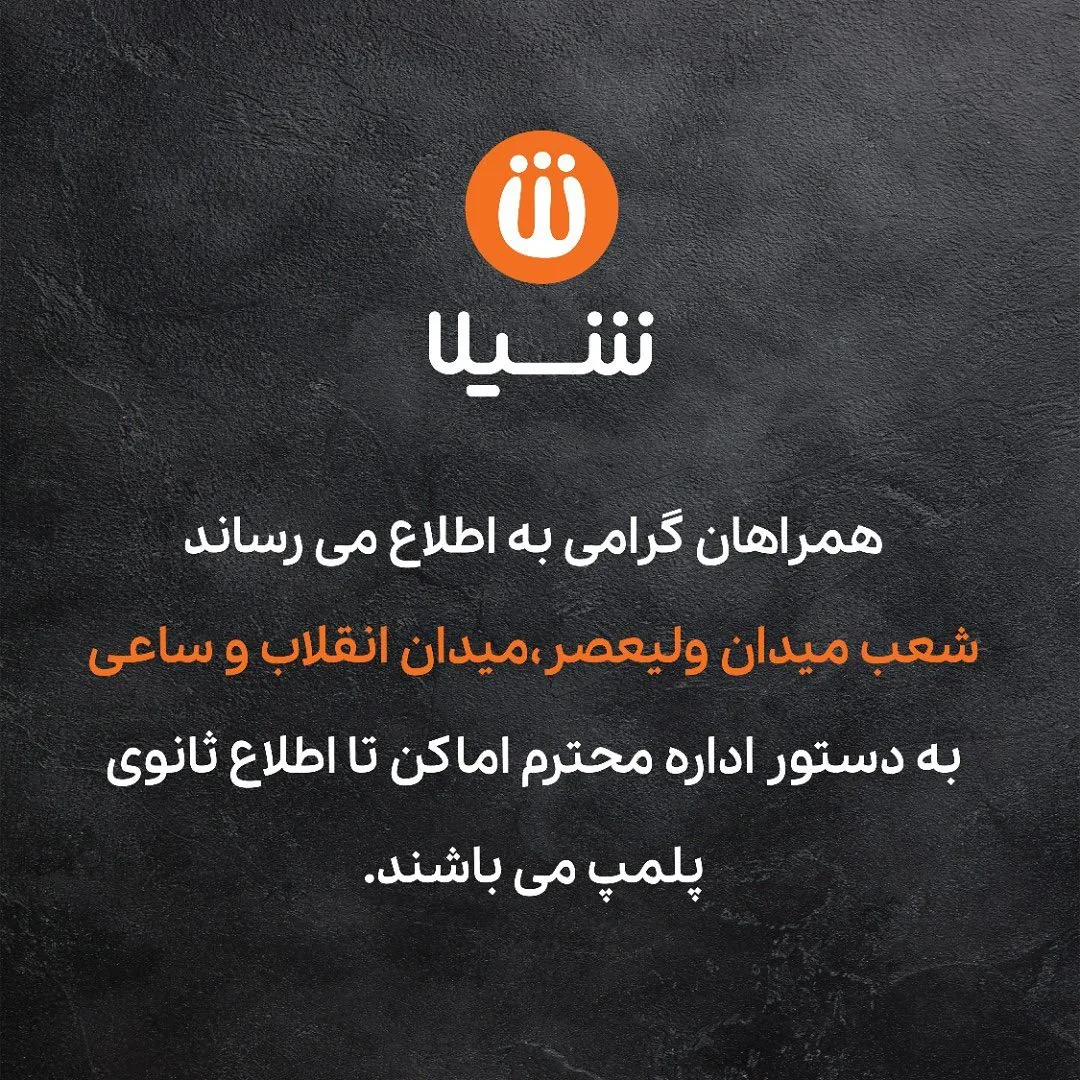 پیتزا شیلا - تصویر 3