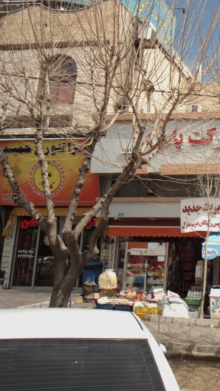 پیتزا تنوری حمید - تصویر 4