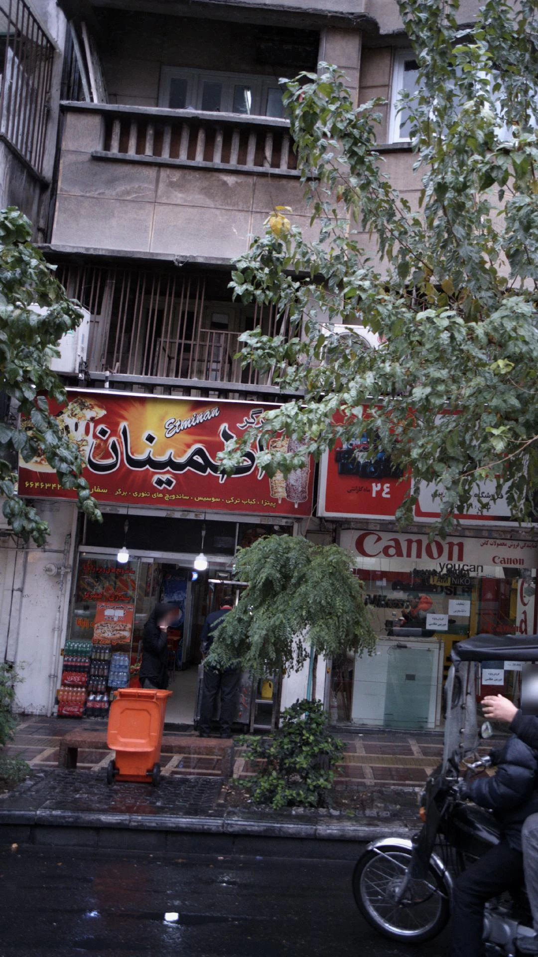 کاکتوس طلایی