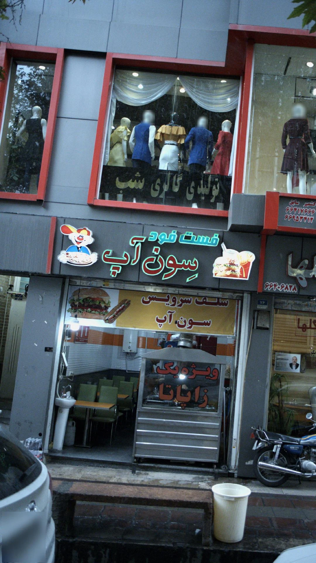 کاکتوس طلایی - تصویر 3