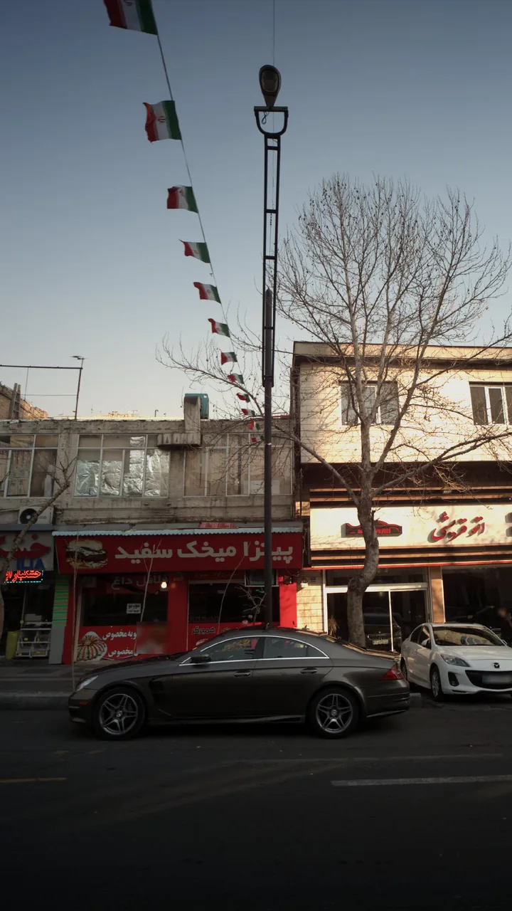 پیتزا میخک سفید