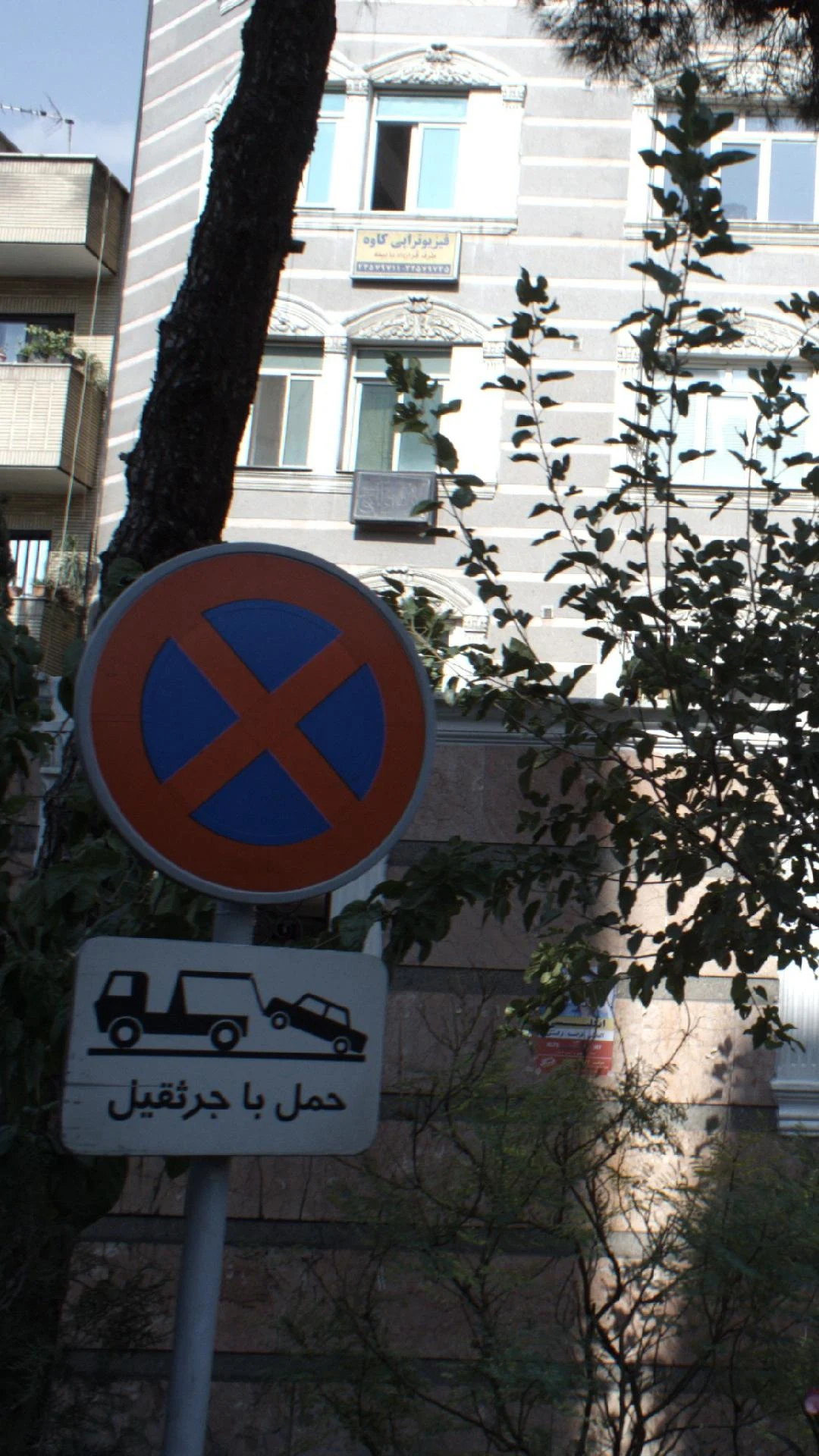 دندانپزشک زیبایی - دندانپزشک در تهران - تصویر 2