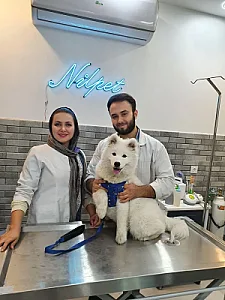 کلینیک دامپزشکی نیل پت