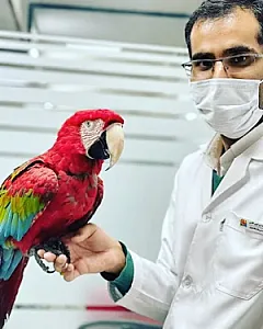 کلینیک تخصصی دامپزشکی شرق