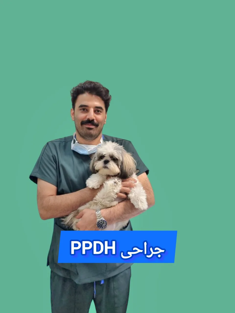 کلینیک دامپزشکی دنا - تصویر 3