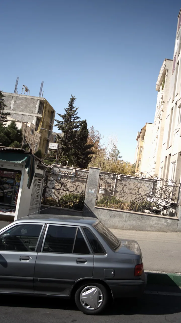 منصوره عارف مهر