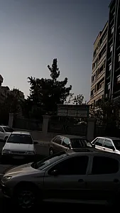 ارتودنسی