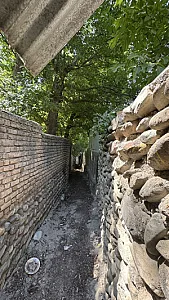 روانشناس بالینی نرگس آذرمی