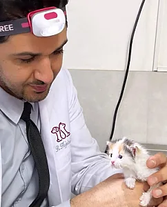 کلینیک دامپزشکی وت ایران