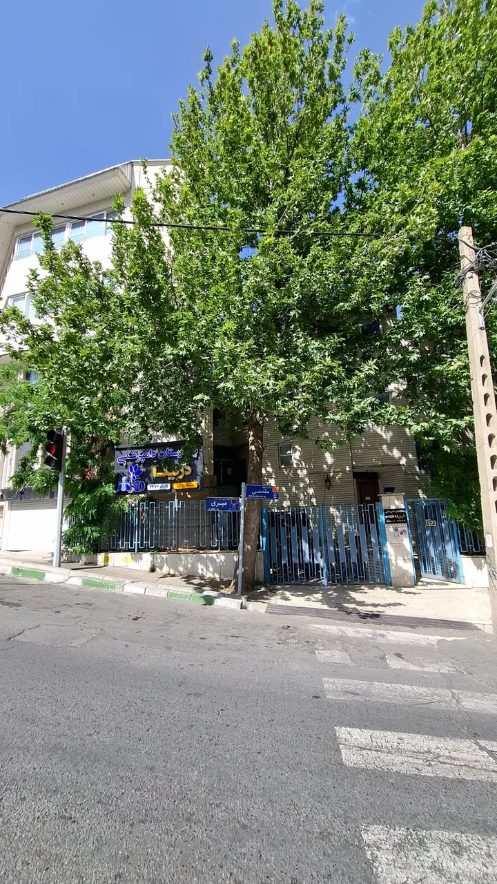 بیمارستان دامپزشکی شبانه روزی درنیکا - تصویر 2