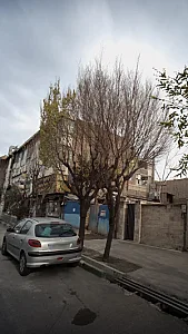 پوست-مو-زیبایی