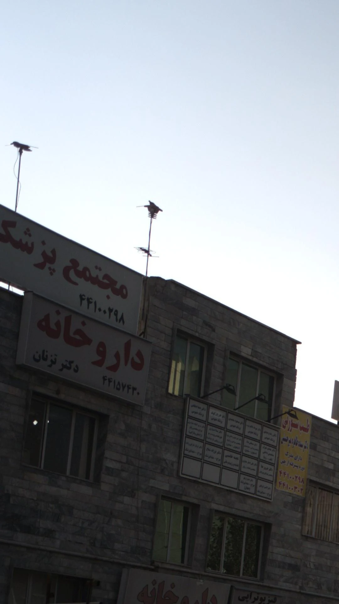دکترضیابری - تصویر 2