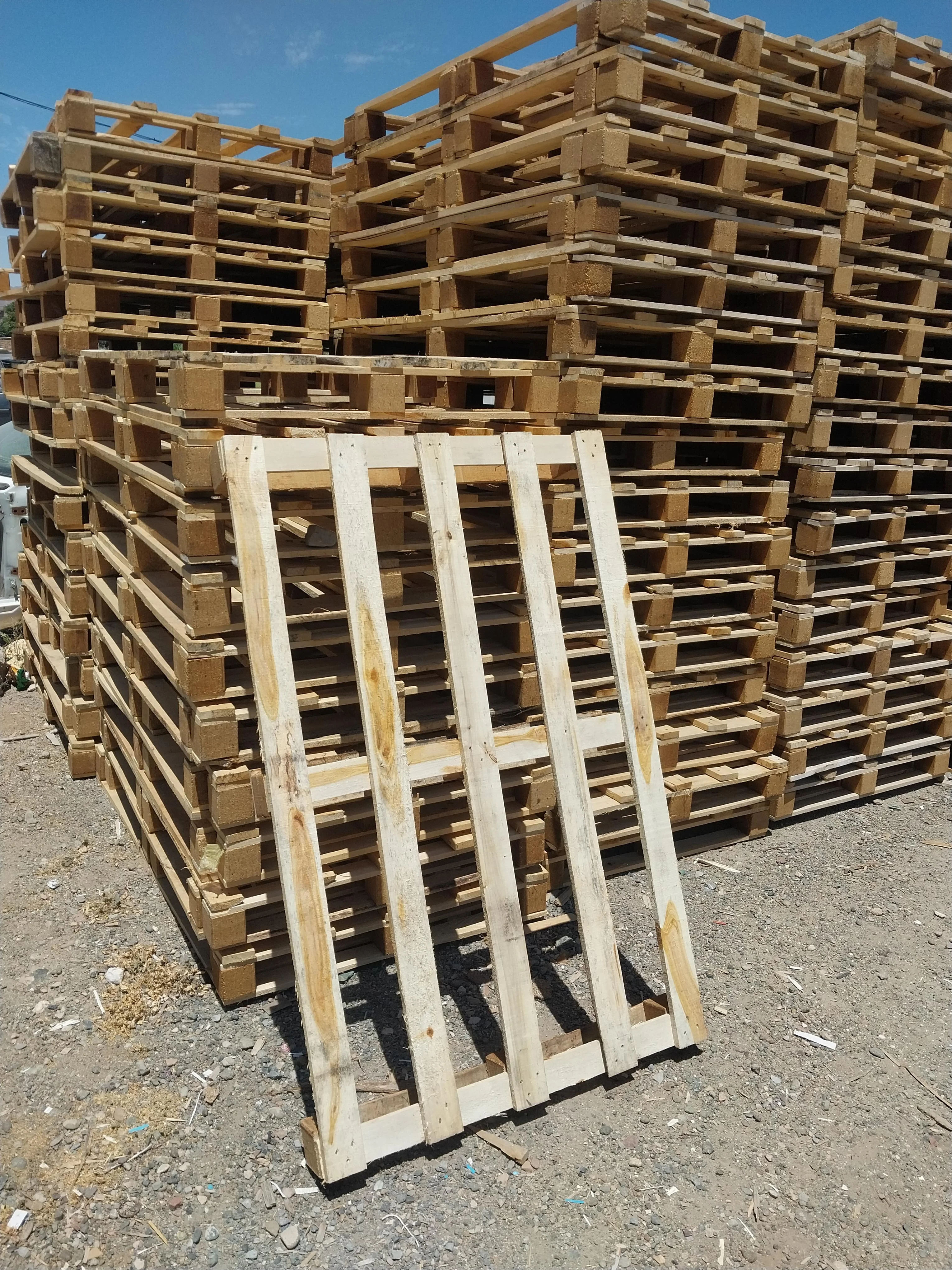 چوب فروشی برادران اکبری