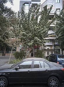 درمانگاه دندان پزشکی غدیر