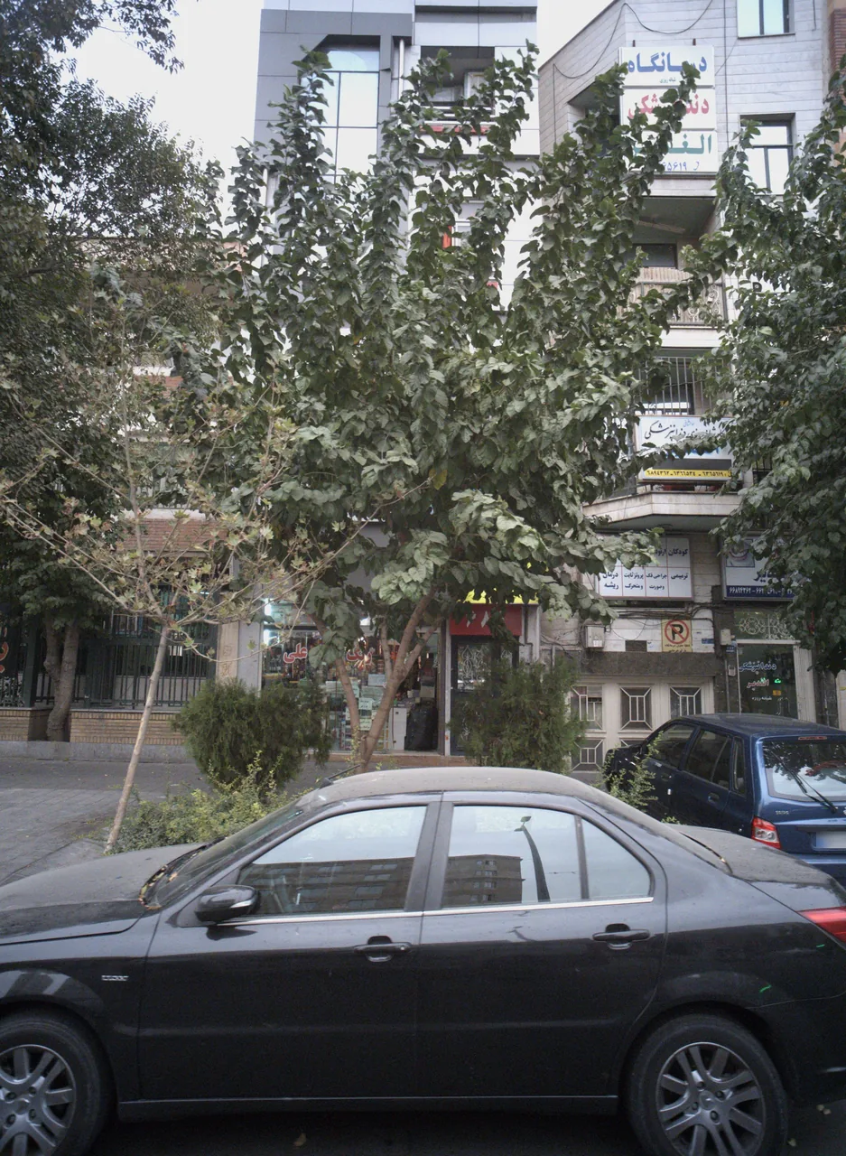 درمانگاه دندان پزشکی غدیر