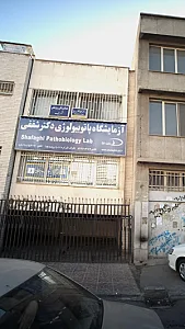 دندانپزشکی و پزشکی شریف