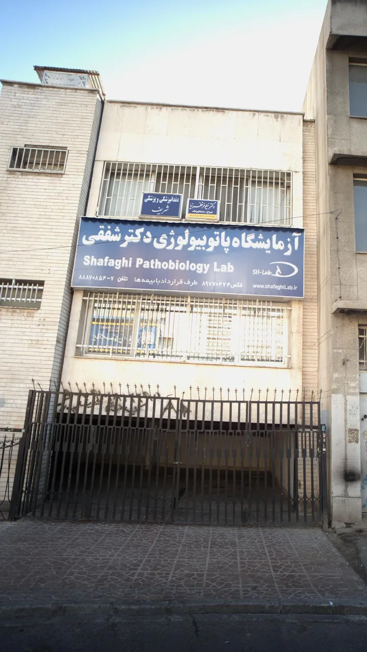 دندانپزشکی و پزشکی شریف - تصویر 2