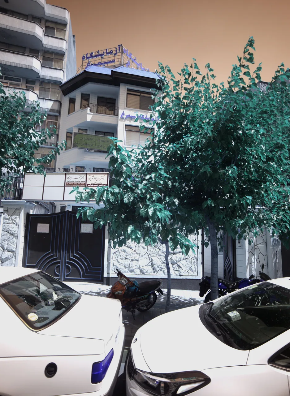 دکتر بهزاد امیری