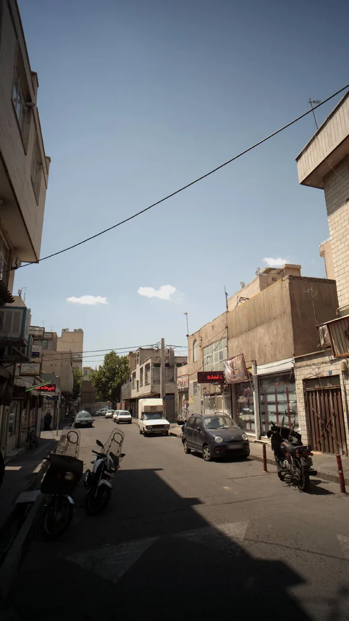 دکتر سید علی - تصویر 2