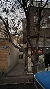 دکتر علی پورحسن