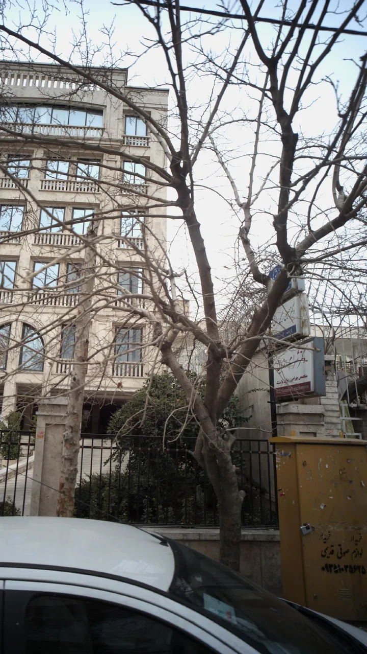 دکتر شهرام رضایی