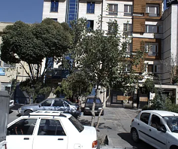 دکتر محمد زمانی زرین