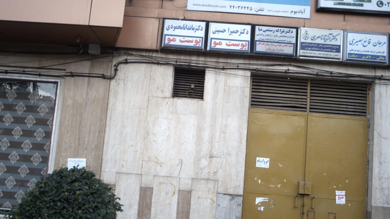 دکتر آزیتا ناصری - تصویر 2
