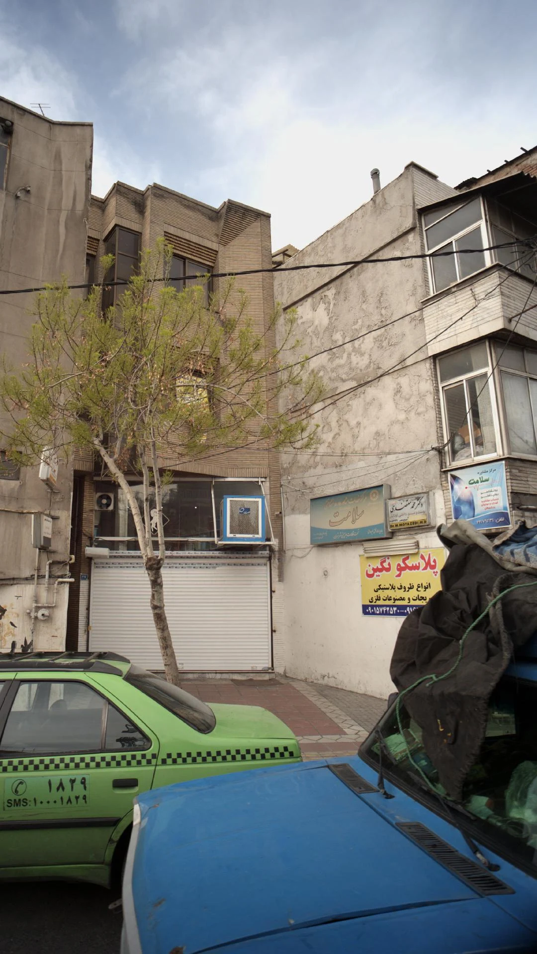 دکتر عالیه خامنه ای