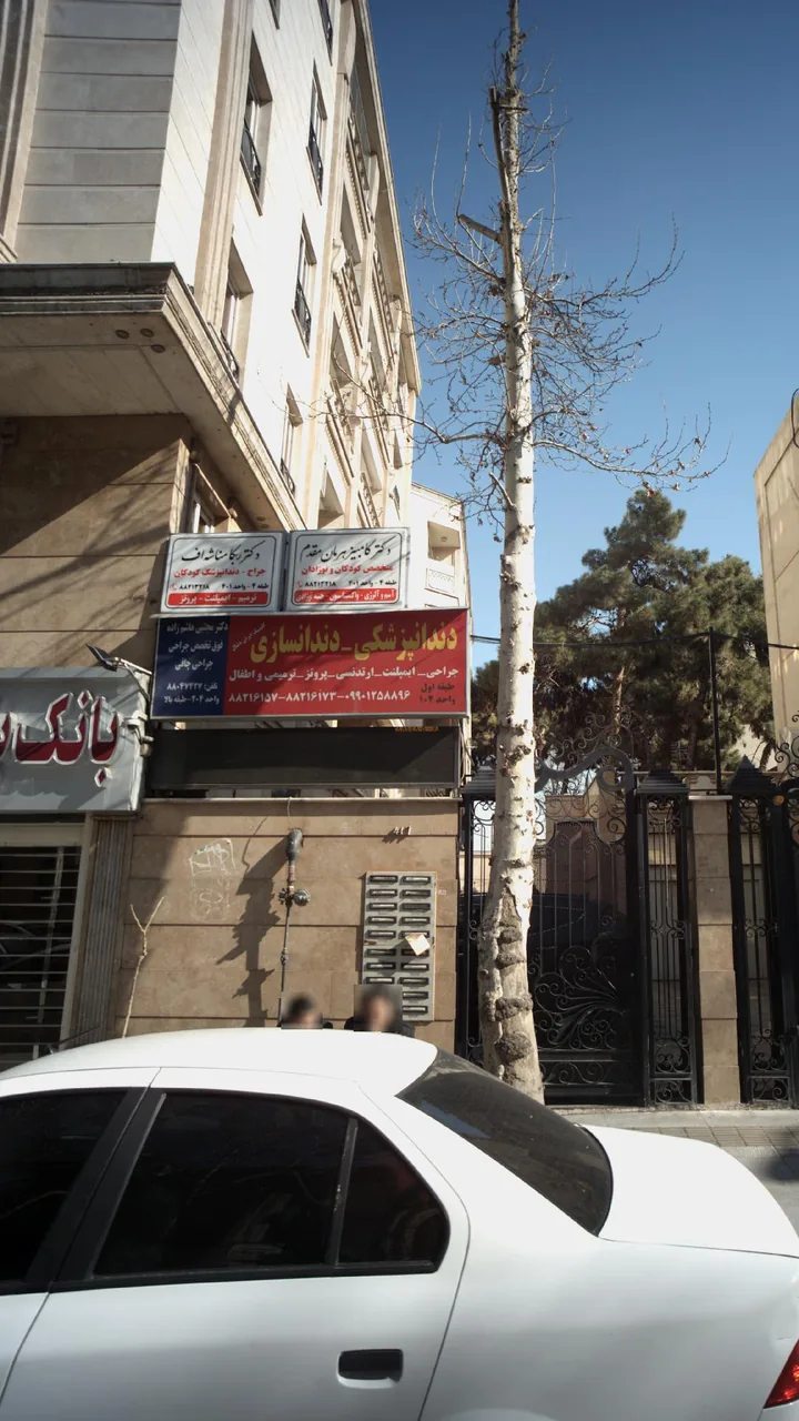 دکتر ربکا مناشه اف - تصویر 2