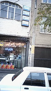 دکتر شادی محمدی