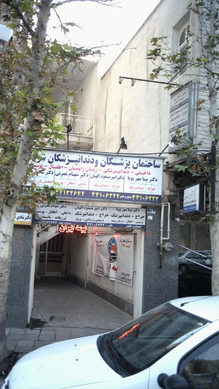 دکتر شادی محمدی - تصویر 2