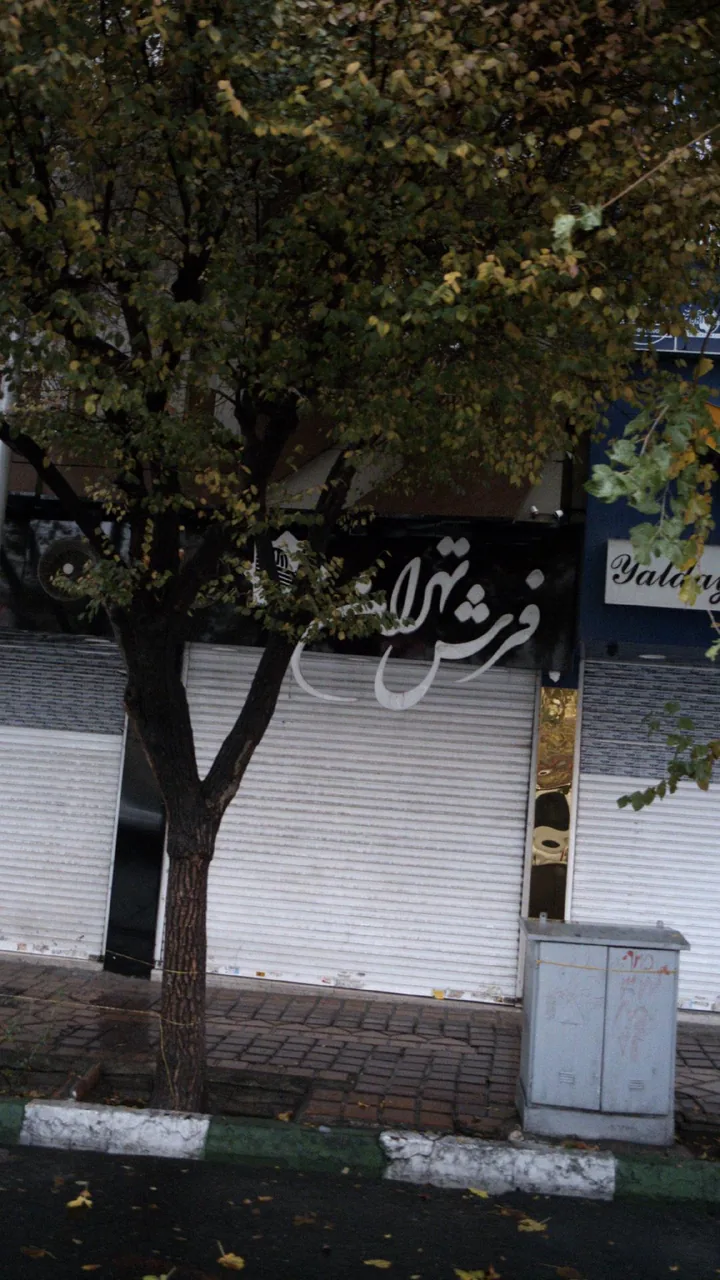فرش پلاس - تصویر 4