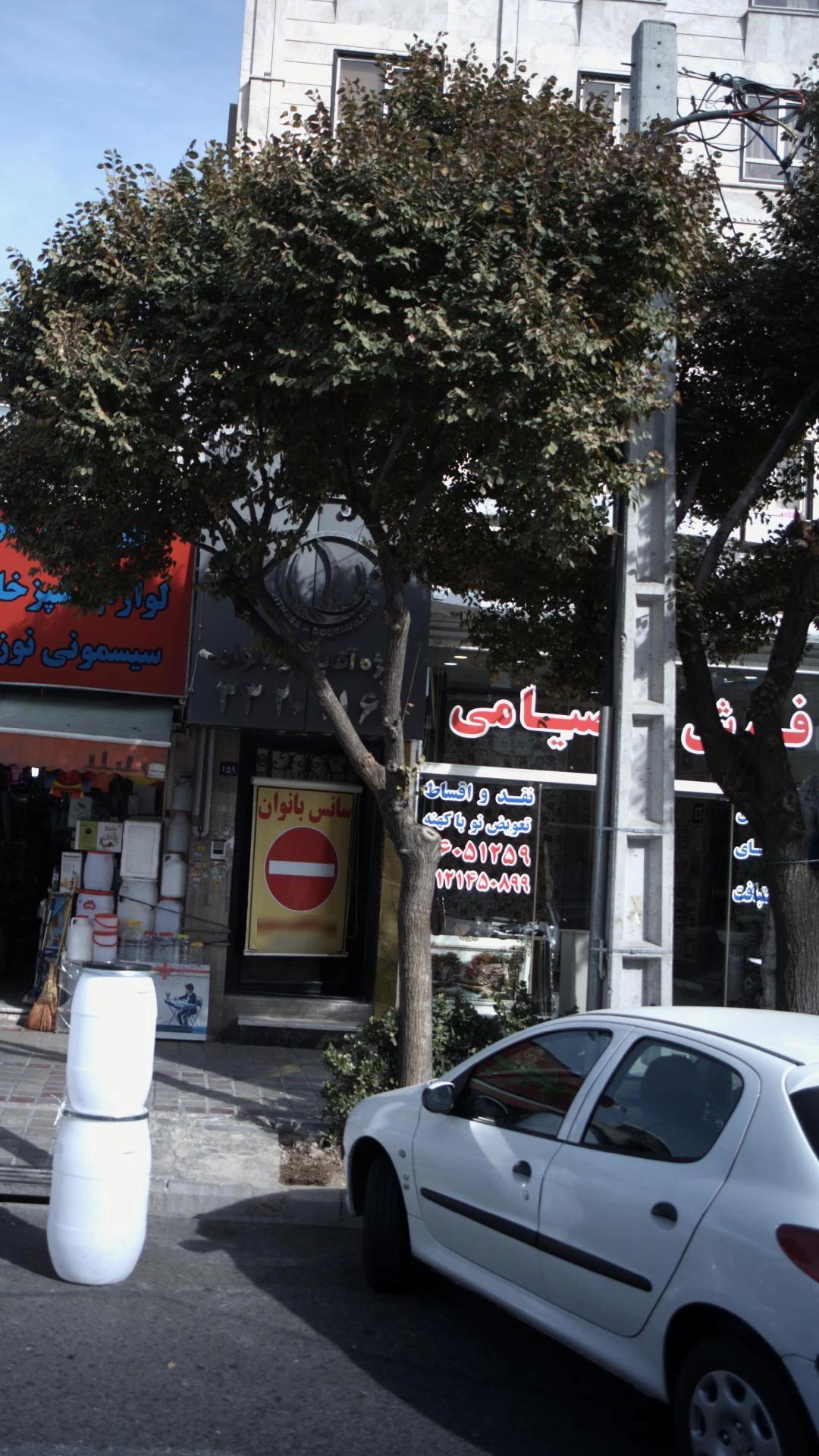 فرش ایده آل - تصویر 4
