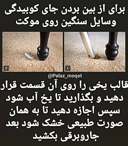 فرش و موکت علیجان