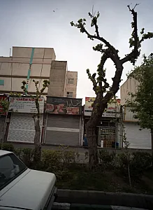فرش ایران
