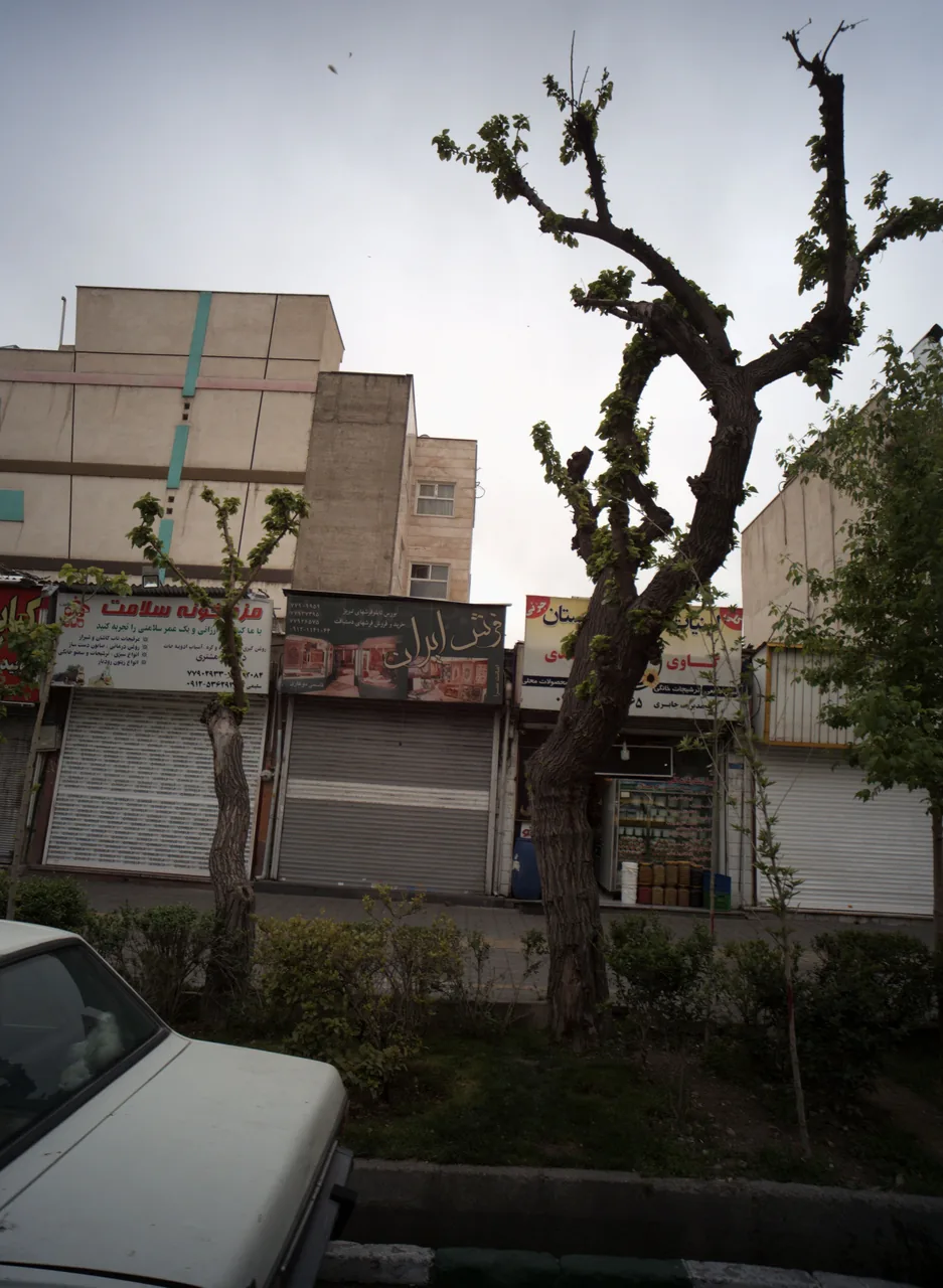 فرش ایران