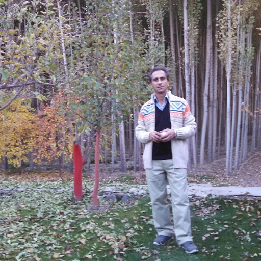 مهمانپذیر پارس نو