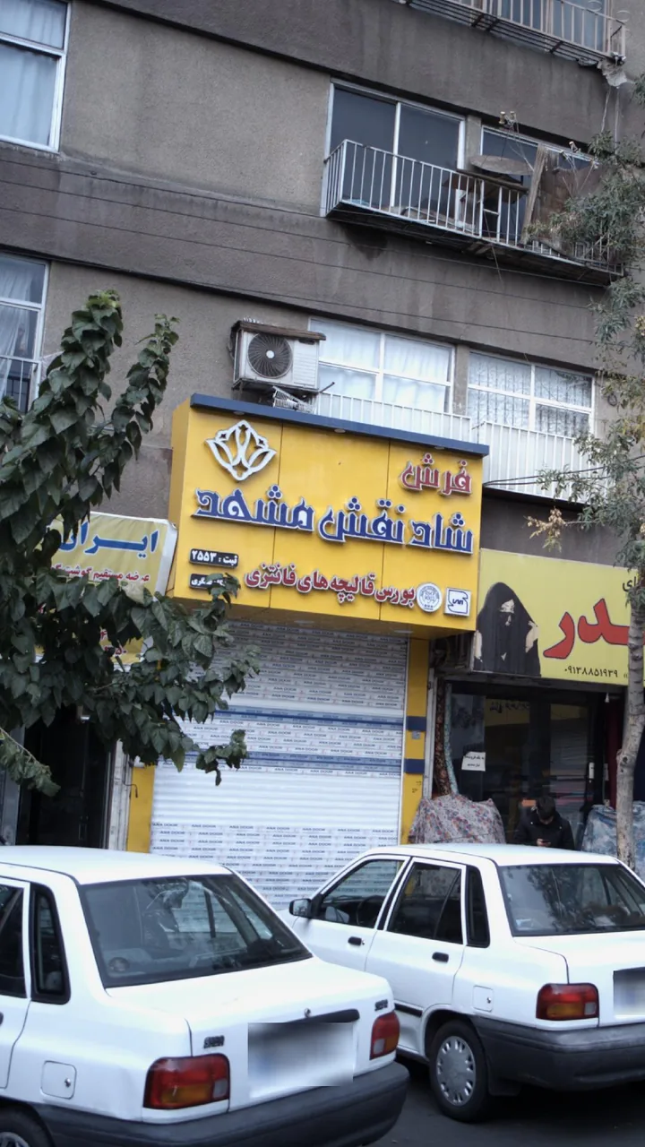فرش شاد نقش مشهد - تصویر 2