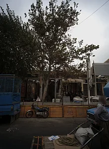 فروشگاه فرش و موکت