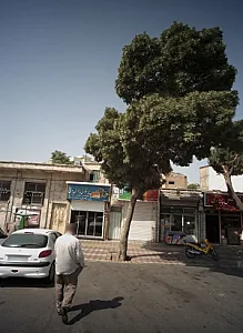 فرش پریدری