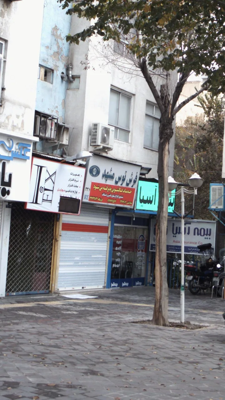 فرش توس مشهد