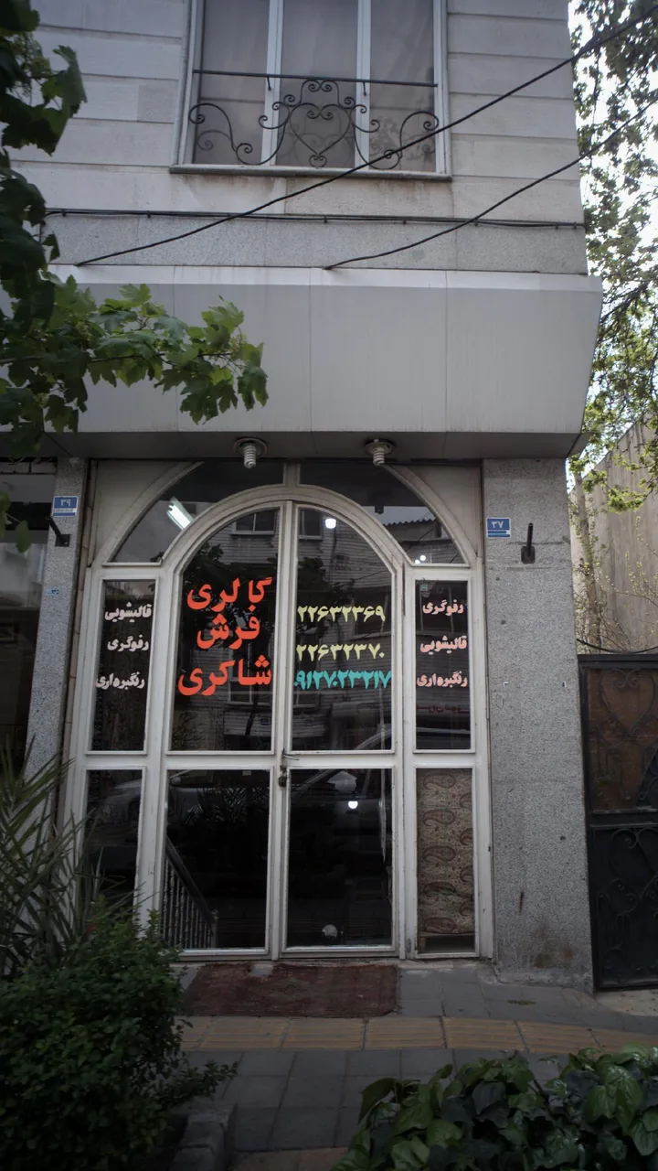 گالری فرش شاکری - تصویر 3