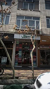فرش سیزال