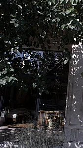 گالری فرش منافی