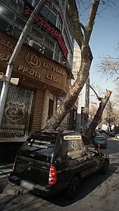 مشاورین املاک
