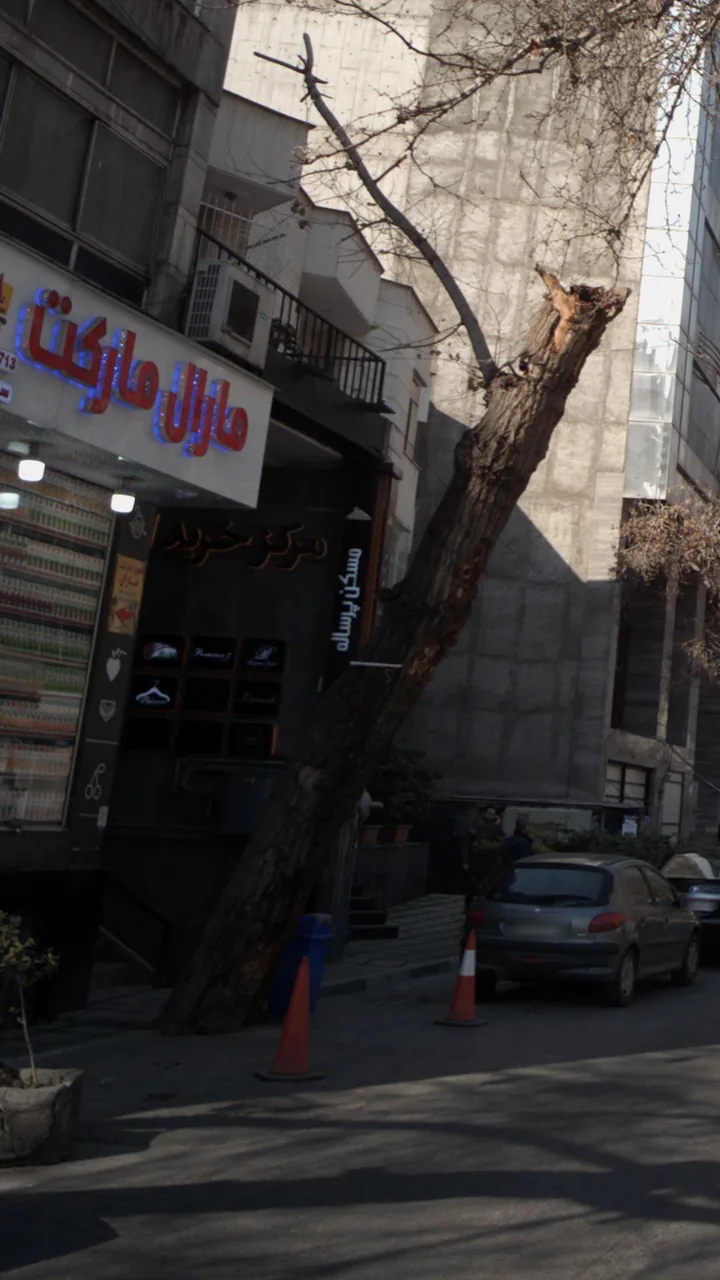 مشاورین املاک - تصویر 2