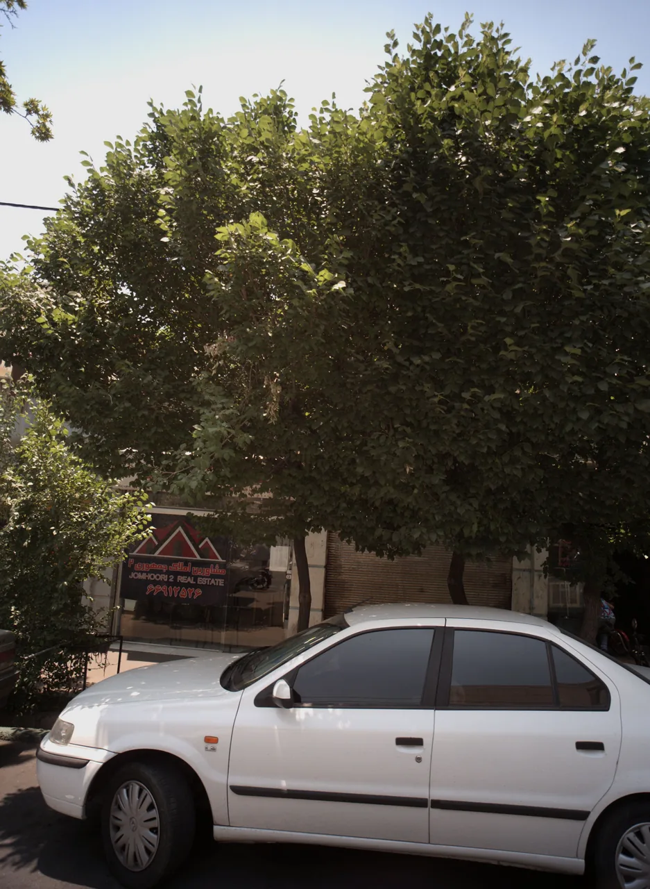 مشاورین املاک جمهوری 2