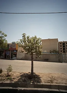 املاک گلستان